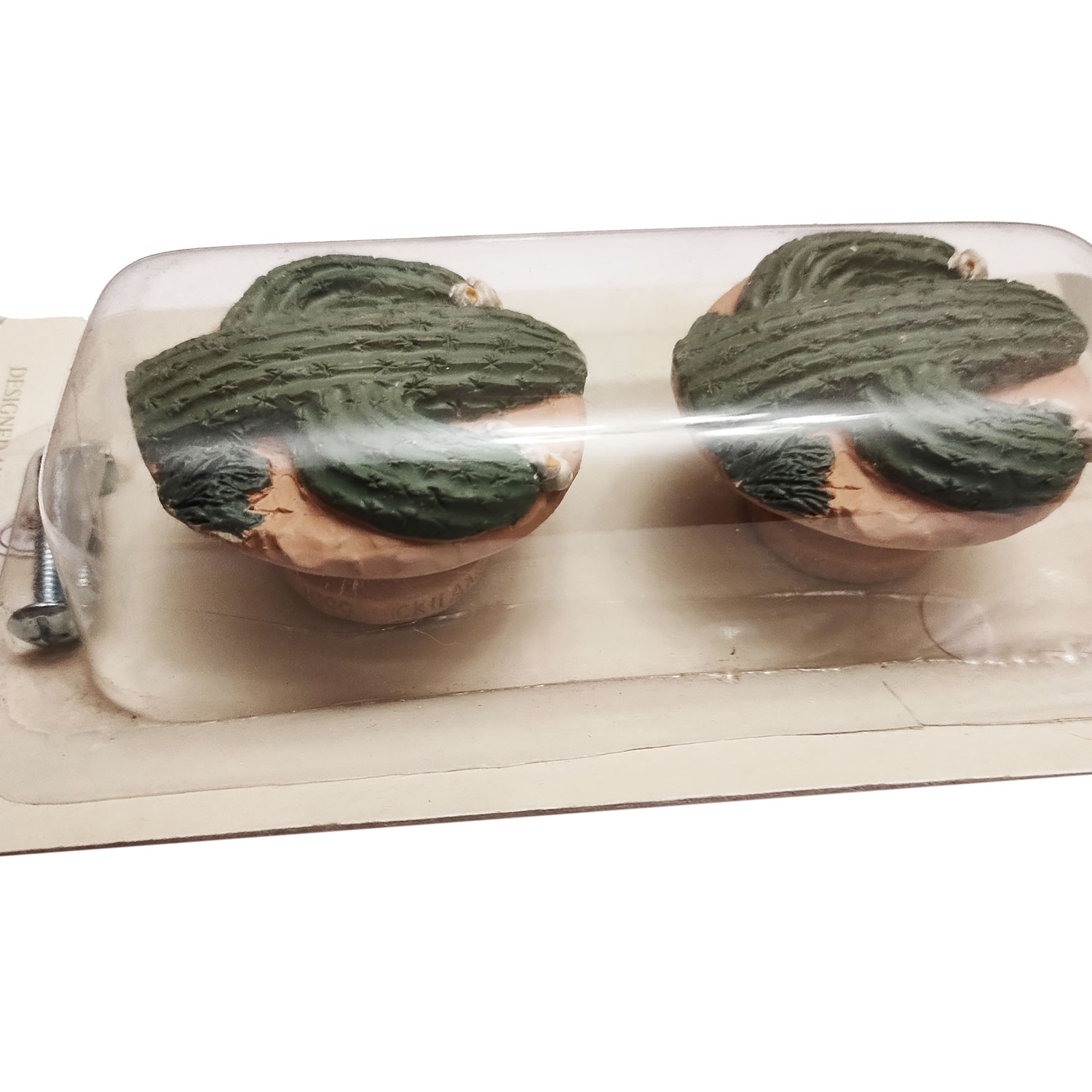 131160 - Vickilane Hand Painted Drawer Pull Set of 2 - Cactus