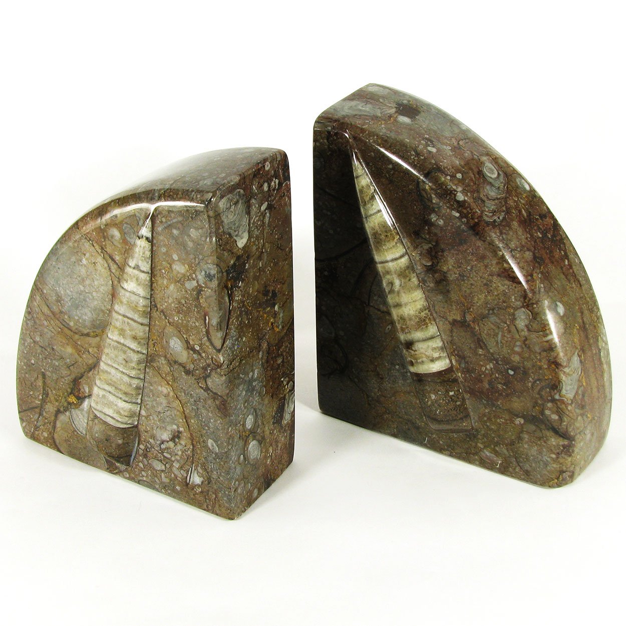 140049 - 6in Polished Fossil Bookends - Brown