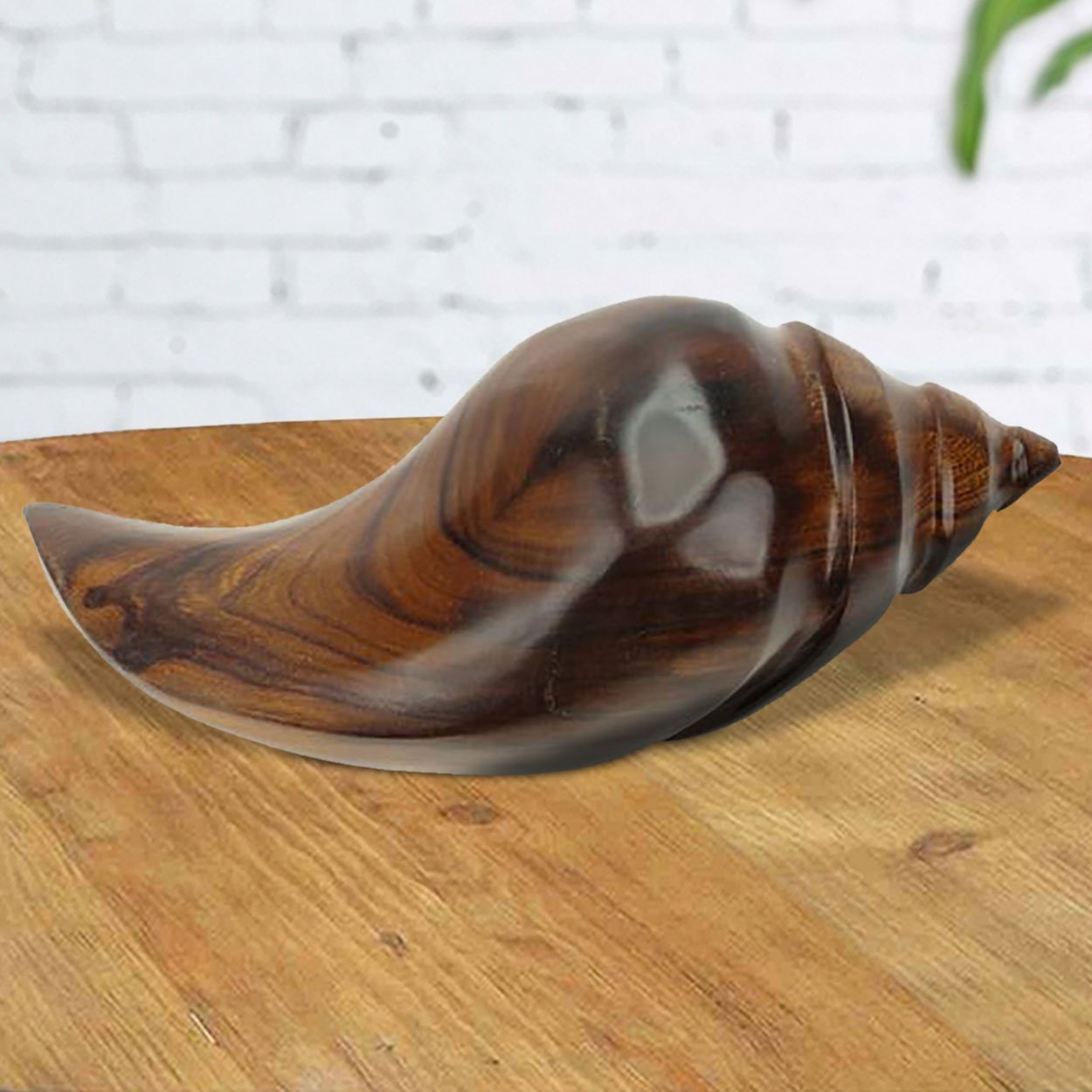 172249 - 5in Long Conch Shell Ironwood Carving
