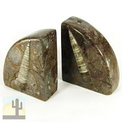 140049 - 6in Polished Moroccan Ammonite Fossil Stone Bookends - Brown