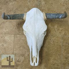 320016 - Top-Grade Genuine Cow Skull with Long Natural Horns