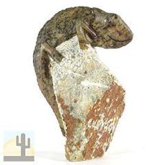 119016-194 - 119016-194 - Zimbabwe Stone Carving - Chameleon