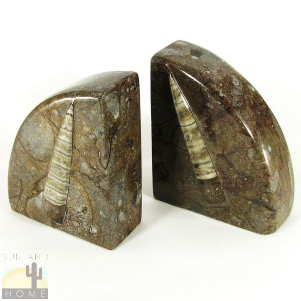 140049 - 6in Polished Fossil Bookends - Brown